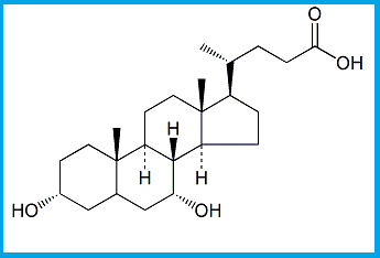 CHENODEOXYCHOLIC ACID